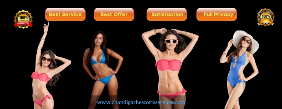 Chandigarh escort service